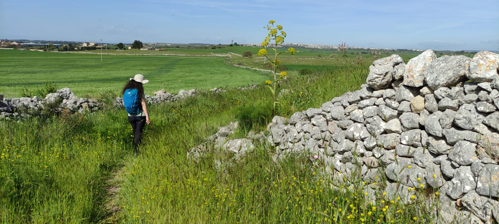 La via per Altamura- Viandanti Festival 2024