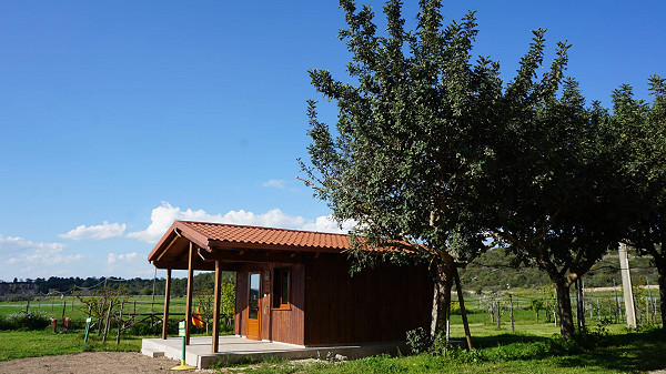 Allegra Fattoria delle Murge / Campo Volo Natile