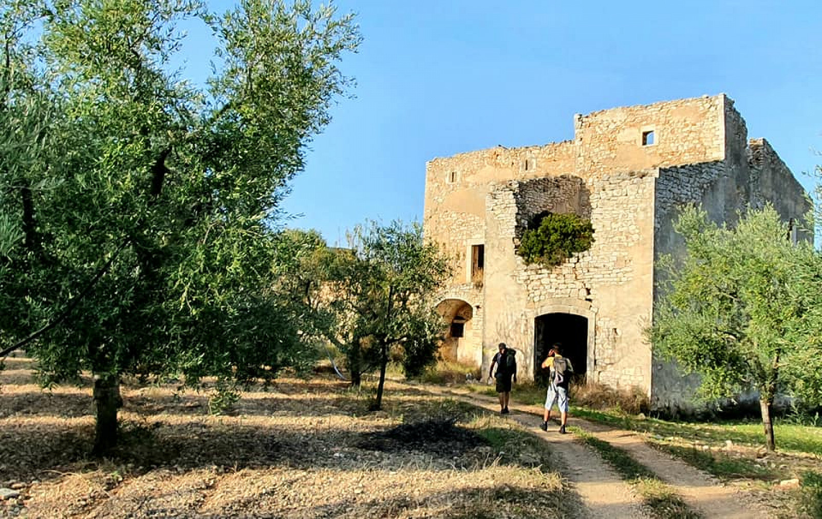 Torre del Marchese: quella Masseria tra Bitetto e Cassano delle Murge